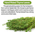 100 100% Premium Thyme Leaf Tea Bags, Made with Pure Thyme Leaves, Aid Digestion & Support Respiratory, No Additives