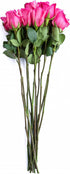 Flower Explosion 12 Stems - Fresh Cut Hot Pink Topaz Rose Bouquet from