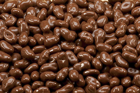 Bayside Candy Milk Chocolate Collection No Sugar Added Milk Chocolate Raisins (2.5LB)