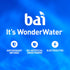 18 12 Pack Bai Antioxidant Infused Water Beverage, Molokai Coconut, with Vitamin C and No Artificial Sweeteners, Fluid