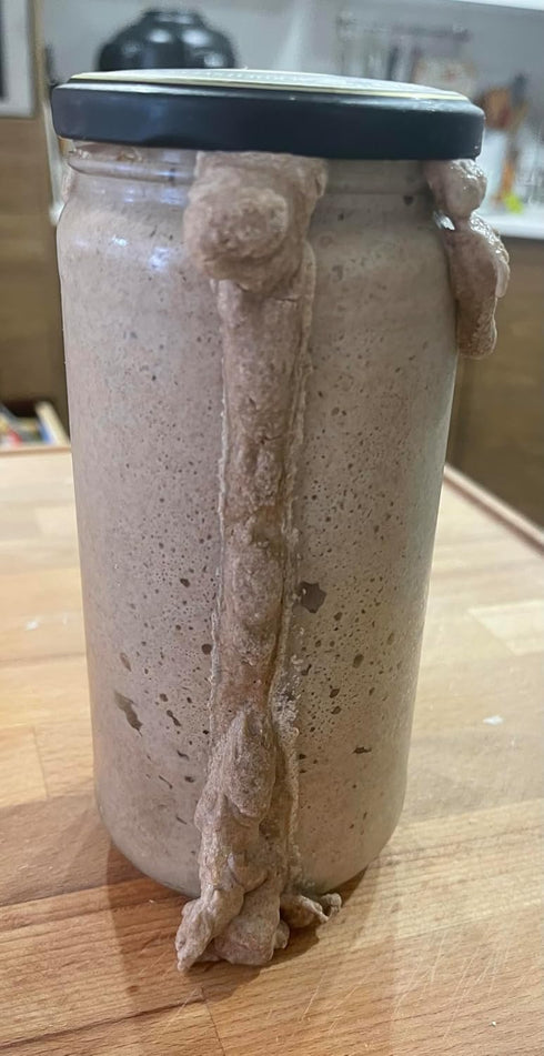 Generic 2 Rye Flour kg, Rye Fermented Malt, Rye sourdough for bread. Recipe as a gift.