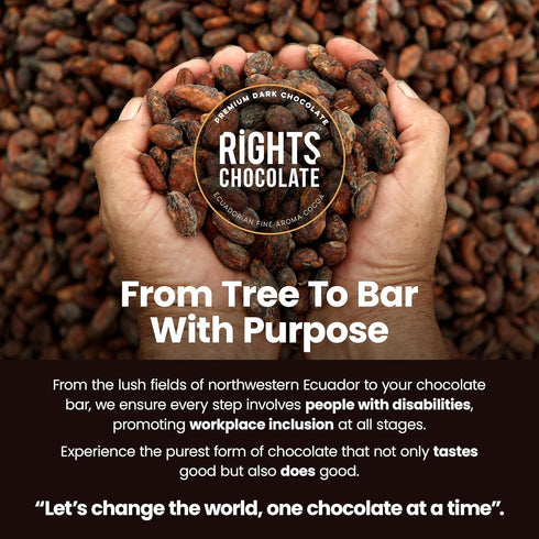 100% 100% (10 20g) Ecuadorian Dark Chocolate with cocoa mucilage Whole Fruit Cocoa Mini Bars x Fine Aroma Cacao