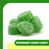 2 Spearmint Leaves Jelly Candy - Pound Bulk Bag - Classic Spearmint Candy with Soft Chewy Texture - Leaf Shaped Mint