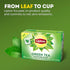 240 (40ct Pack 6) Lipton Signature Blend Green Tea Bags, Unsweetened Teabags for Hot Tea or Iced Tea with Caffeine