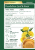 Traditional Medicinals Organic Dandelion Leaf & Root Herbal Tea, Supports Kidney Function & Healthy Digestion, Pack of 2