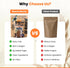 Beanio 100% 10G 100mg 15 Protein Coffee Mocha with Collagen: Zero Added Sugar, Natural Dairy-Free Protein Instant Blend