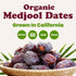 2 Food to Live Organic California Medjool Dates, Pounds Soft & Juicy Nature's Candy. Non-GMO Whole Dry Fancy Dates
