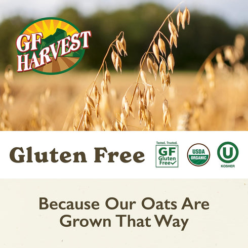 32 Pack 2 GF Harvest Gluten Free Organic Whole Grain Oat Flour, Ounce Bag