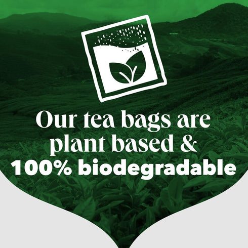 240 (40 Count Pack 6) PG Tips Premium Black Tea For a Classic Caffeinated Beverage, Black Tea Bags, Total Bags