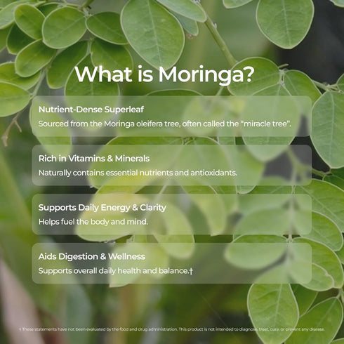 20 12 oz Livingood Daily Coffee with Moringa, Ground Medium Roast Coffee with Plant Based Ingredients for Morning
