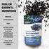 4 100% LOOV Wild Organic Dried Blueberries, No Added Sugar, No Added Oil, Ounces, Freeze Dried Blueberries Organic From