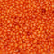 Smarty Stop Jelly Beans Every Flavor Candy (5 Pound (Pack of 1), Mango)