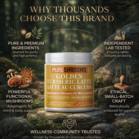 30 (30 125 Organic Turmeric Latte Golden Milk Servings - Organic Lion's Mane, Turkey Tail Mushroom Extracts, Cinnamon