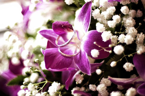 (50 Miami Fresh Orchid Flower OrchidClub USA Sunne Tropical Loose Bloom DIY Lei, food & drink decoration PURPLE)