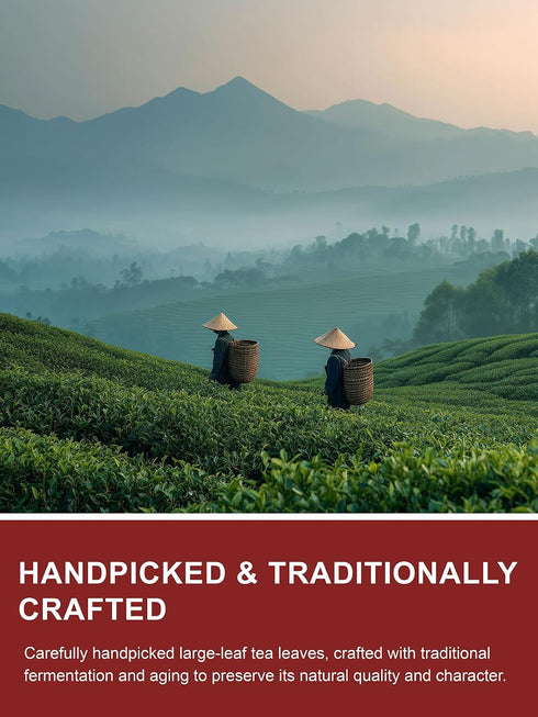 16oz TeeLux Decaf Pu erh Tea Loose Leaf, Naturally Aged Yunnan Decaffeinated Ripe Pu erh Tea, Smooth & Mellow Flavor