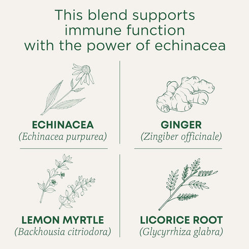 Immune Immune 96 (6 Pack) Traditional Medicinals Tea, Organic Zoom Lemon Ginger - Supports Function - Kosher, Non-GMO