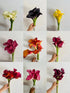 Cassiolina 10 Stems Fresh Calla Lily Flowers Elegant Long Stem Flower Bouquet for Vase Home Decor Wedding Party Floral