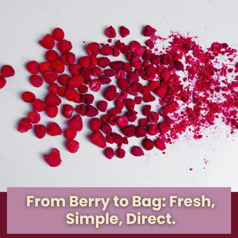 1oz Packs 100% Wise Harvest Freeze-Dried Raspberries Five | Single Ingredient Snack | Real Fruit, No Sugar Added, Just