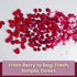 1oz Packs 100% Wise Harvest Freeze-Dried Raspberries Five | Single Ingredient Snack | Real Fruit, No Sugar Added, Just