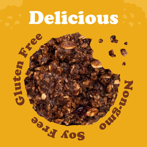 8 1 Pack Alyssas Vegan Chocobites Gluten Free Cookies, Healthy Snacks from the Bakery Dairy Free, Sugar Free, Low Carb