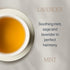 15 Count (Pack 1) Rishi Tea Lavender Mint Herbal Tea - Organic, Caffeine Free Sachet Bags, Calming Lavender