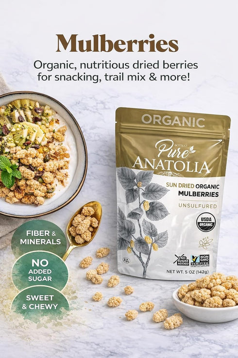 Mulberries Mulberries Mulberry 5 oz 6 Pack Pure Anatolia Organic Sun Dried - Dried White from Turkey - Organic White