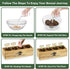 LUOJIBIE Bonsai Tree Kit, Complete Bonzai Tree Starter Kits, for Mom, Unique Christmas Birthday Gardening Gifts