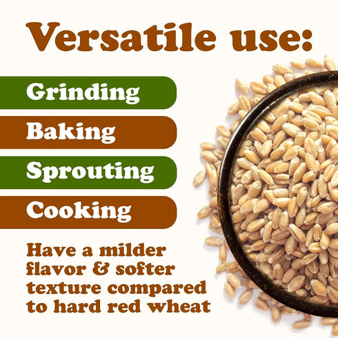 10 Food to Live Organic Soft White Wheat Berries, Pounds Premium Non-GMO Whole Grain Wheat for Milling, Sprouting