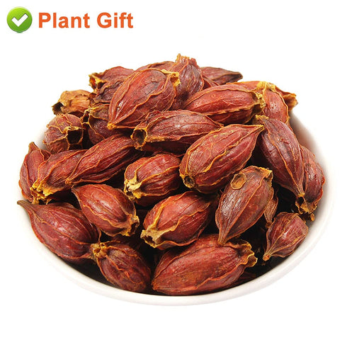Plant Gift 3.52oz/100g Dried Gardenia Fruit/Cape jasmine/Natural Herb Tea/Gardenia jasminoides Ellis/ Chinese Herbal