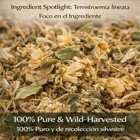 (4 oz) 100% Tila Seca Herbal Tea Natural Linden Flowers & Leaves (Ternstroemia lineata) Traditional Relaxation