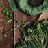 (0.96 Olive & Vine Thyme Leaves, Earthy & Aromatic, Seasoning for Roasted Meats, Soups, and Mediterranean Dishes, Rich
