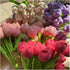 Generic 1PC Finished Knitted Flowers Tulip Carnation Sunflower Simulated Bouquet Mother's Day Valentine's Day Teacher's