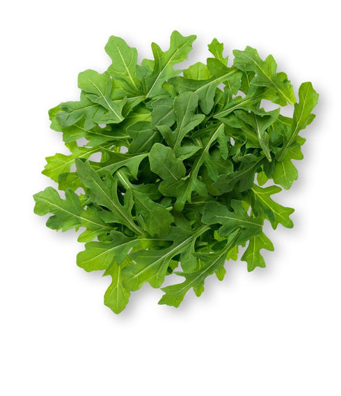BSD Organics Aaraa Keerai/Aaraa Lettuce - 10 Gram/0.35 Oz