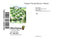 5 Tongan Vanilla Bean Pods Beans