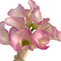 10 Next-day delivery Calla Lilies Fresh Cut Flowers Bouquet Prime Delivery Gifts for Birthday Anniversary Friendship