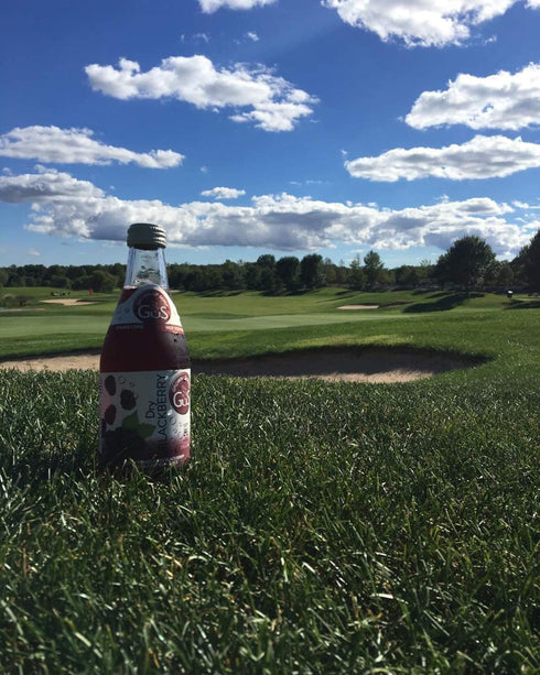 GuS Soda 12 oz (6 - Dry Blackberry - Glass Bottles)