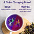 (40 VAHDAM, Butterfly Pea Flower Tea Bags Pyramid Teabags) Vegan, Non-GMO | Delicate & Earthy | Direct From Source