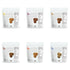(6 4oz, Foods Alive Sweet + Savory Organic Sprouted Crisps Bundle flavors), Gluten Free Crackers