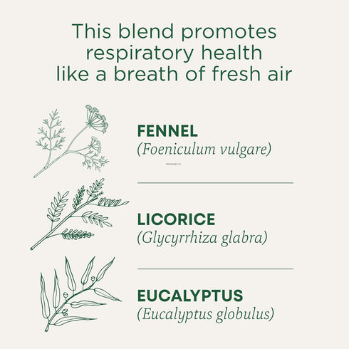 96 (Pack 6 Traditional Medicinals Tea, Organic Breathe Easy with Eucalyptus Mint, Promotes Respiratory Health, Kosher