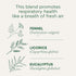 96 (Pack 6 Traditional Medicinals Tea, Organic Breathe Easy with Eucalyptus Mint, Promotes Respiratory Health, Kosher