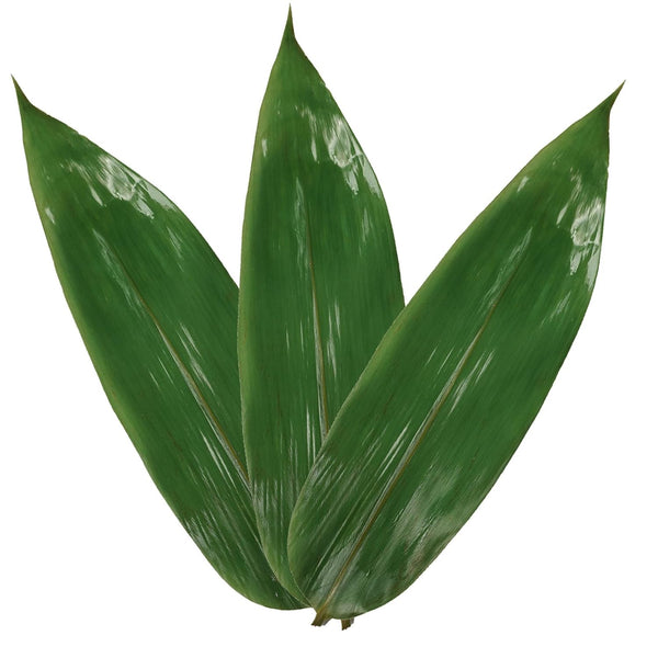 Leaf Bamboo 100 Pcs Cooking Bamboo Leaf for Zongzi, 4 * 14'' Banana Leaf Substitutes for Making Chinese Snacks