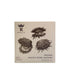 Regalis Conservas, Smoked Spiny Oysters, Spanish Tinned Seafood, 12/120g