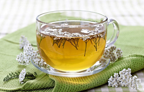 Health Embassy Yarrow Herb Tea - Achillea millefolium L - Herbal Tea (100g)
