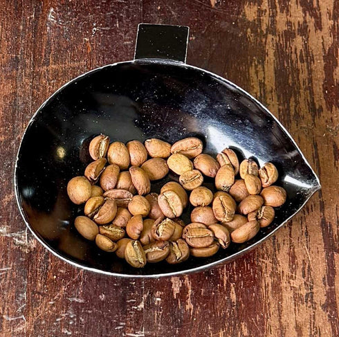Gran Del Val Geisha Coffee Whole Beans - Panamanian Fresh Geisha Washed Coffee Beans - Panama Coffee Souvenier