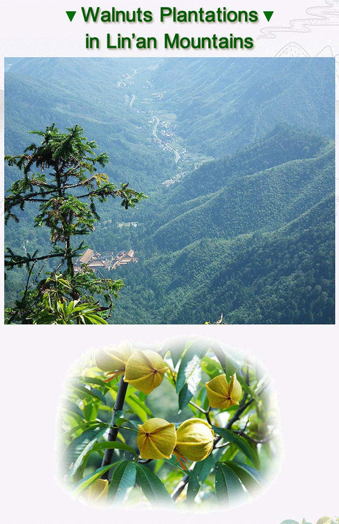 170g/6oz., Chinese Peeled Walnuts,Fresh Linan Mountain Walnut Kernels,Walnuts with Extra Creamy or Salty Flavoring,Net