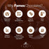 20 Halvah Chocolate Squares One Pound - Kosher Halva Chocolates, Dairy Free, Ounce