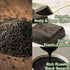 Store (3 Packs) TOFU MOCHI PUDDING Japanese Black Sesame Dessert | Zen-Inspired Plant-Based Sweet | Smooth, Nutty