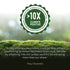 100% 10.5 oz (20 Host Defense MycoBrew Mocha - Mocha Drink Mix - Includes Lion's Mane Mushroom - Drink Mix with Fair