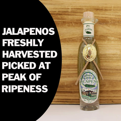3.75oz Pure Jalapeno Pepper Hot Sauce Mash Puree - Try if you dare! Perfect Gourmet Gift for the Hot Sauce Fan - Great
