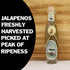 3.75oz Pure Jalapeno Pepper Hot Sauce Mash Puree - Try if you dare! Perfect Gourmet Gift for the Hot Sauce Fan - Great